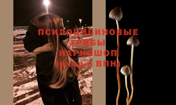 ALPHA PVP Надым