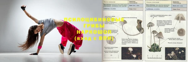 мдпв Наволоки