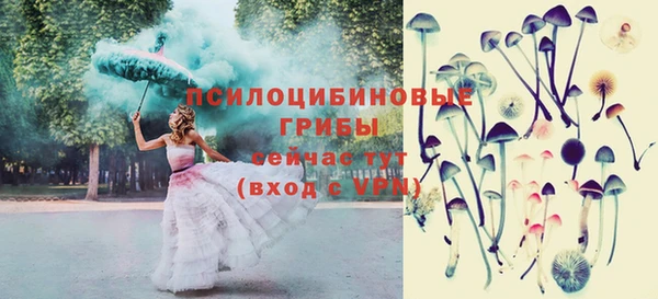 мдпв Наволоки