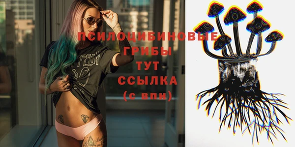 ALPHA PVP Надым