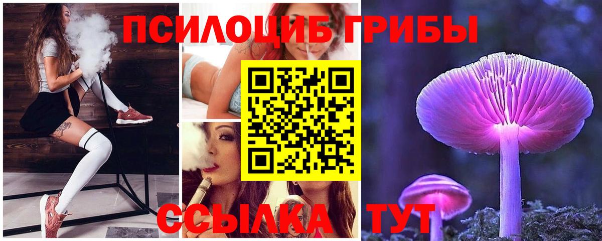 Псилоцибиновые грибы мицелий  Луга 