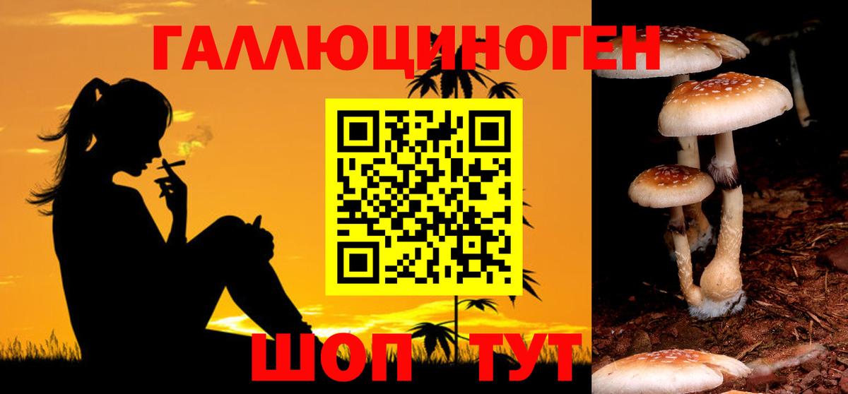 цены   Вход с VPN  Луга  Псилоцибиновые грибы Psilocybe 