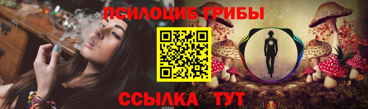 Псилоцибиновые грибы прущие грибы Луга
